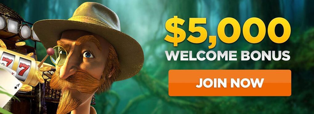 Wild Casino No Deposit Bonus Deals